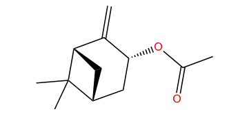trans-Pinocarveyl acetate
